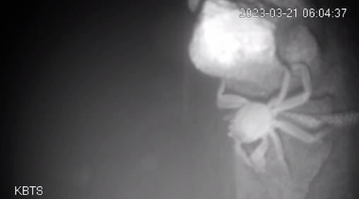 example image
